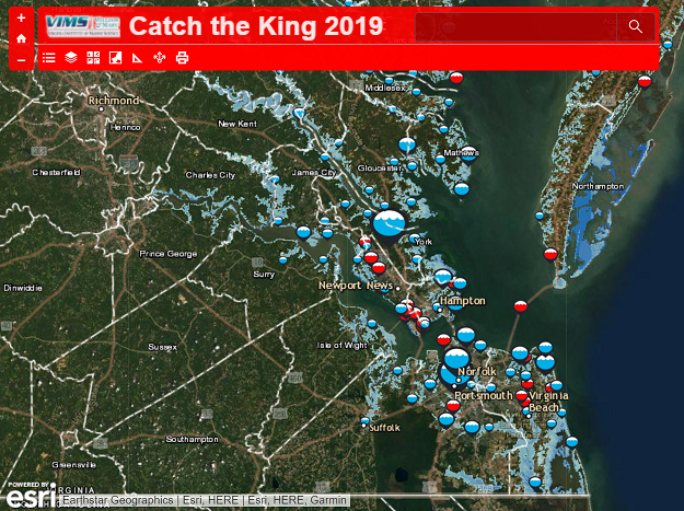 Catch the King 2019